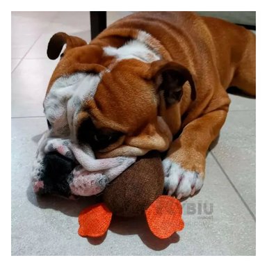 PELUCHE LANA PERROS MA31264 RYBIU EN MARRON +PAPEL DE REGALO