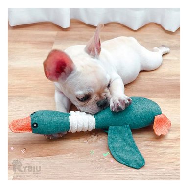 PELUCHE LANA PERROS Y GATOS MA31263 RYBIU EN FORMA DE PATO FUNCIONAL PET COLOR VERDE