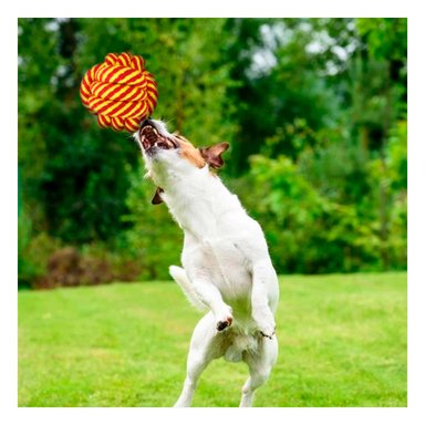 PELOTA PERROS Y GATOS MA31255 RYBIU DIDACTICA Y EDUCATIVA DE COLOR AMARILLO +AGENDITA