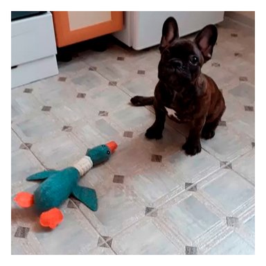 PELUCHE LANA PERROS Y GATOS MA31263 RYBIU PET DE TEXTURA SUAVE DE TONO VERDE +AGENDITA