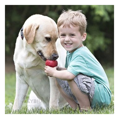 JUGUETE PERROS MA31267 RYBIU DE COLOR LLAMATIVO PARA MASTICAR GRANDE +AGENDITA