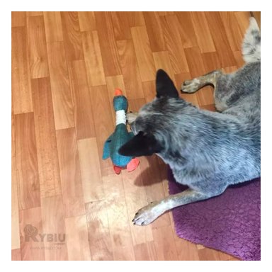 PELUCHE LANA PERROS Y GATOS MA31263 RYBIU DISEÑO ATRACTIVO DE VERDE +PAPEL DE REGALO