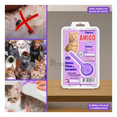 PIPETA GATOS RYBIU DE PROTECCION DE FELINO EN MORADO Y+AGENDITA