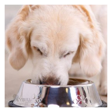 PLATO ACERO PERRO Y GATO MA31270 ÚTIL MASCOTA GRANDES EN TALLA L Y STICKERS RYBIU