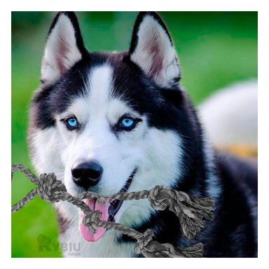 SOGA  PERRO MA31364 PLOMO +AGENDITA RYBIU