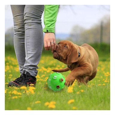 PELOTA PERROS MA31236 RYBIU PARA PARQUE Y JUEGOS MASTICABLE EN VERDE +AGENDITA