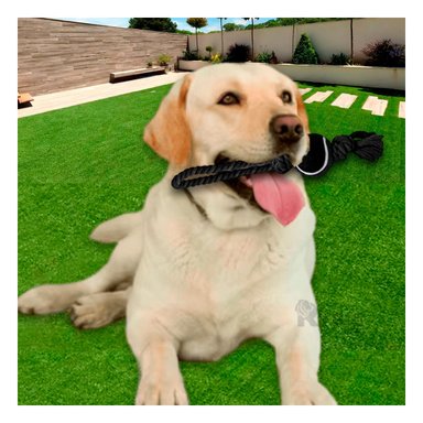 SOGA ALGODON PERRO MA31358 Y PELOTA TENNIS NEGRO +PAPEL DE REGALO RYBIU