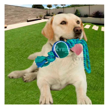 SOGA PERRO MA31354 CON BOLA TENNIS AZUL +AGENDITA RYBIU