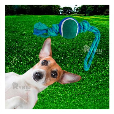 SOGA PERRO MA31354 Y PELOTA TENNIS AZUL +PAPEL DE REGALO RYBIU