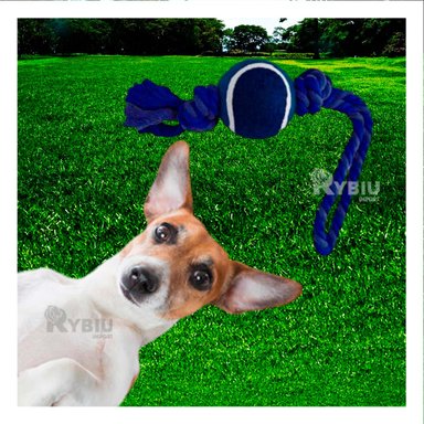 SOGA PERRO MA31355 Y PELOTA AZUL NOCTURNO +PAPEL DE REGALO RYBIU