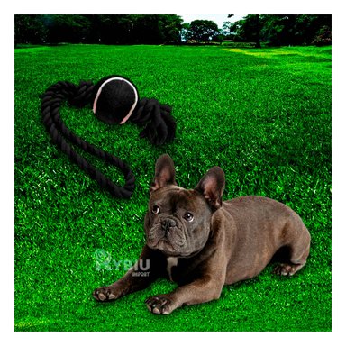 SOGA PERRO MA31358 CON PELOTA TENNIS NEGRO +STICKERS RYBIU