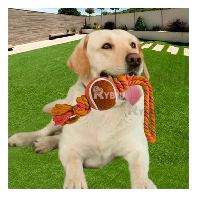 SOGA PERRO MA31357 CON NUDO Y PELOTA DE TENNIS PARA MASCOTA ANARANJADO RYBIU