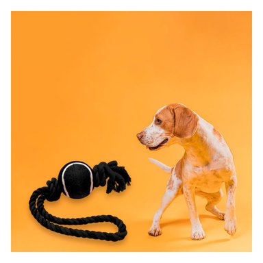 SOGA PERRO MA31358 CON NUDO Y PELOTA DE TENNIS NEGRO RYBIU