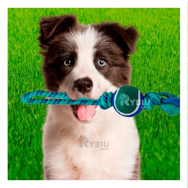 SOGA PERRO MA31354 CON PELOTA TENNIS AZUL +STICKERS RYBIU