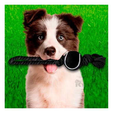 SOGA PERRO MA31358 CON BOLA TENNIS NEGRO +AGENDITA RYBIU