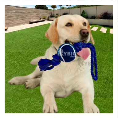 SOGA PERRO MA31355 CON NUDO Y PELOTA DE TENNIS AZUL NOCTURNO RYBIU