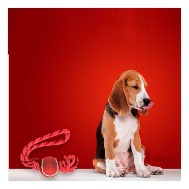 SOGA PERRO MA31359 CON NUDO Y PELOTA DE TENNIS ROJO RYBIU