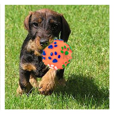 PELOTA PERROS MA31241 RYBIU PARA JUGAR PET EN COLOR NARANJA +STICKERS