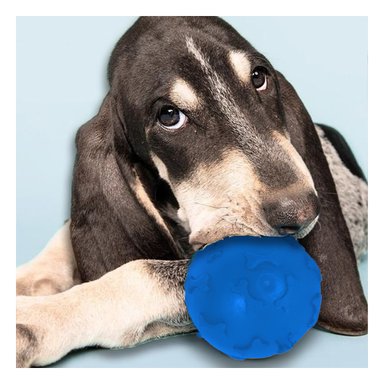 PELOTA PERROS MA31249 RYBIU LIMPIA ENCIAS AZUL +STICKERS