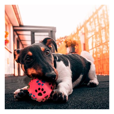 PELOTA PERROS MA31246 RYBIU FLEXIBLE AMIGOS PELUDOS EN TALLA M ROSADO +AGENDITA