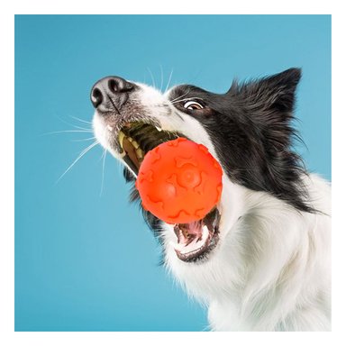 PELOTA PERROS MA31250 RYBIU LIMPIA ENCIAS ANARANJADO +STICKERS