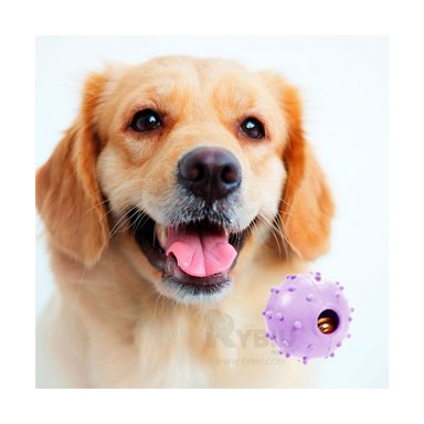 PELOTA CAUCHO PERROS MA31252 RYBIU MATERIAL DE COLOR MORADO +PAPEL DE REGALO