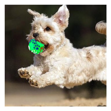 PELOTA PERROS MA31242 RYBIU LLAMATIVA CON TEXTURA TALLA L VERDE +PAPEL DE REGALO