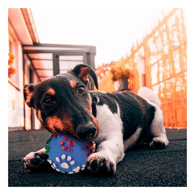 PELOTA PERROS MA31245 RYBIU DOG ANTIESTRES EN TALLA M CELESTE +AGENDITA