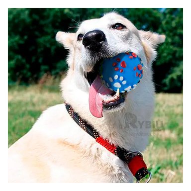 PELOTA PERROS MA31245 RYBIU CON TEXTURA EN TAMAÑO M CELESTE +PAPEL DE REGALO