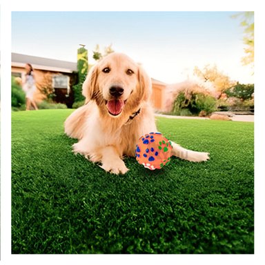 PELOTA PLASTICO PERROS MA31241 RYBIU PET CON HUELLAS EN COLOR NARANJA
