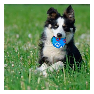 PELOTA PLASTICO PERROS MA31239 RYBIU PET HUELLAS EN CELESTE +PAPEL DE REGALO