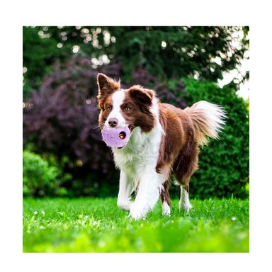 PELOTA JEBE PERROS MA31252 RYBIU FUNCIONAL CON PUNTOS DE COLOR MORADO