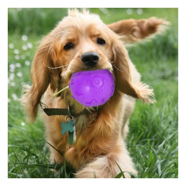 PELOTA PERROS MA31251 RYBIU LIMPIA ENCIAS MORADO +STICKERS