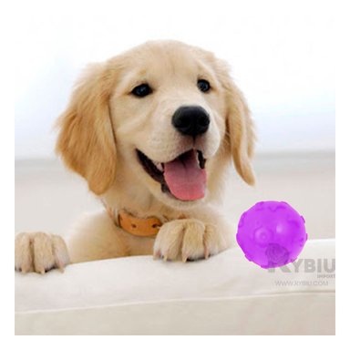 PELOTA PERROS MA31251 RYBIU ANTI ESTRES EN MORADO +PAPEL DE REGALO