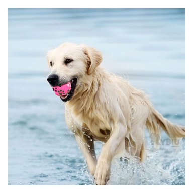 PELOTA PERROS MA31246 RYBIU ANTIESTRES TALLA M ROSADO +STICKERS