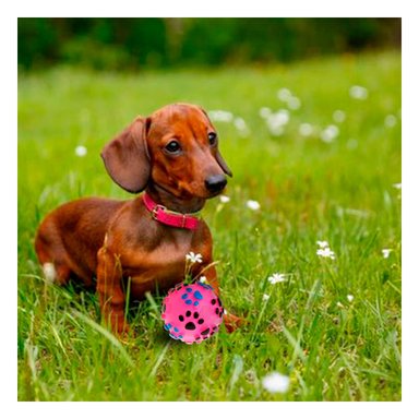 PELOTA PLASTICO PERROS MA31240 RYBIU PET CON HUELLAS EN COLOR ROSADO