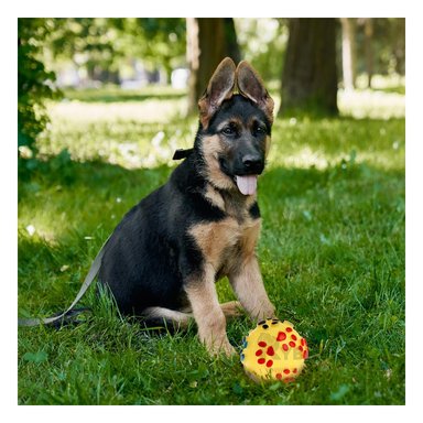 PELOTA PERROS MA31244 RYBIU ANTIESTRÉS TALLA M AMARILLO +STICKERS