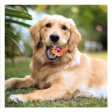 PELOTA PLASTICO PERROS MA31241 RYBIU PET HUELLAS EN NARANJA +PAPEL DE REGALO