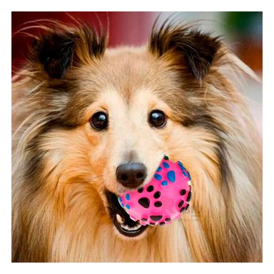 PELOTA PERRO MA31240 ROSADO +STICKERS RYBIU