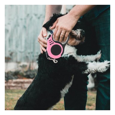 SOGA PERROS RYBIU EXTENSIBLE DE 3M ROSADO Y+PAPEL DE REGALO