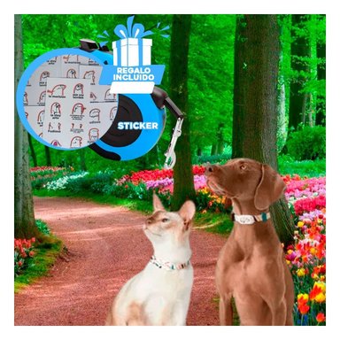 SOGA PERROS MA31381 RYBIU RESISTENTE EN COLOR AZUL Y+STICKERS