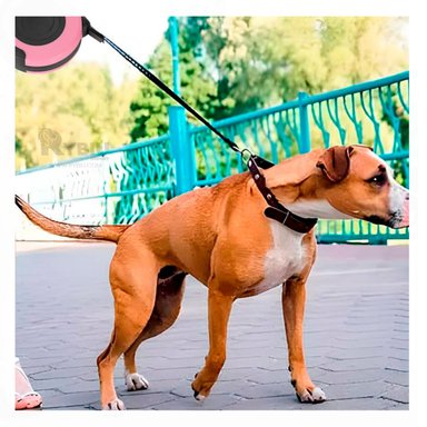 CORREA PERROS MA31383 RYBIU CON GANCHO GIRATORIO EN ROSADO Y+PAPEL DE REGALO