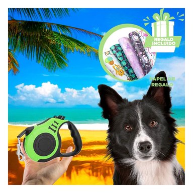 SOGA PERROS MA31384 RYBIU 3M AUTOMATICA PARA CAN EN VERDE Y+PAPEL DE REGALO