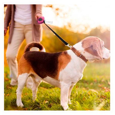 CORREA PERROS MA31383 RYBIU PARA PASEAR DE CACHORROS 5M AUTOMATICA EN ROSADO