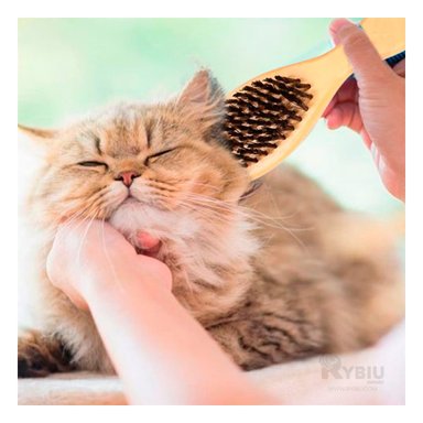 PEINE PERRO Y GATO RYBIU MA31215 COMODO DOBLE FUNCION STANDAR + STICKERS