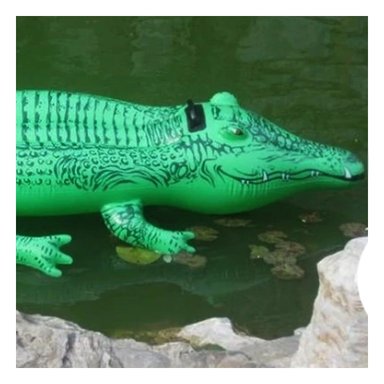 FLOTADOR RYBIU 58562NP VERDE COCODRILO NIÑOS