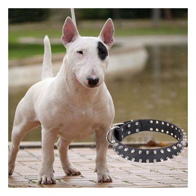 COLLAR PERROS MA31058 RYBIU SEGURO Y COMODO NEGRO TALLA L Y+STICKERS