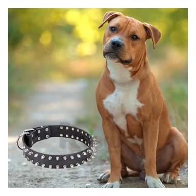 COLLAR PERROS MA31058 RYBIU SUAVE Y ELEGANTE NEGRO TALLA L Y+AGENDITA