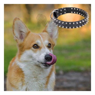 COLLAR PERROS MA31058 RYBIU COMODO NEGRO TALLA L Y+PAPEL DE REGALO