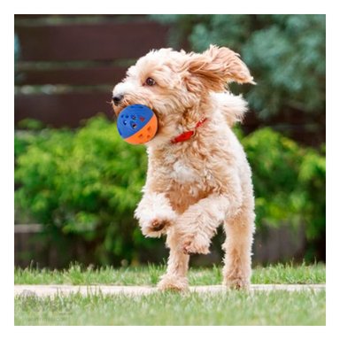 JUGUETE CASCABEL PERROS Y GATOS MA30035 RYBIU EN TONO AZUL Y NARANJA SET DE 4